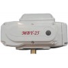 閥門(mén)電動(dòng)執(zhí)行器，電動(dòng)執(zhí)行器